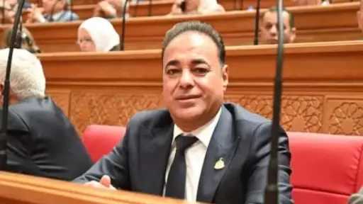 النائب سعيد العماري يطالب الحكومة الجديدة بضرورة الاهتمام بملفات التنمية والاستثمار