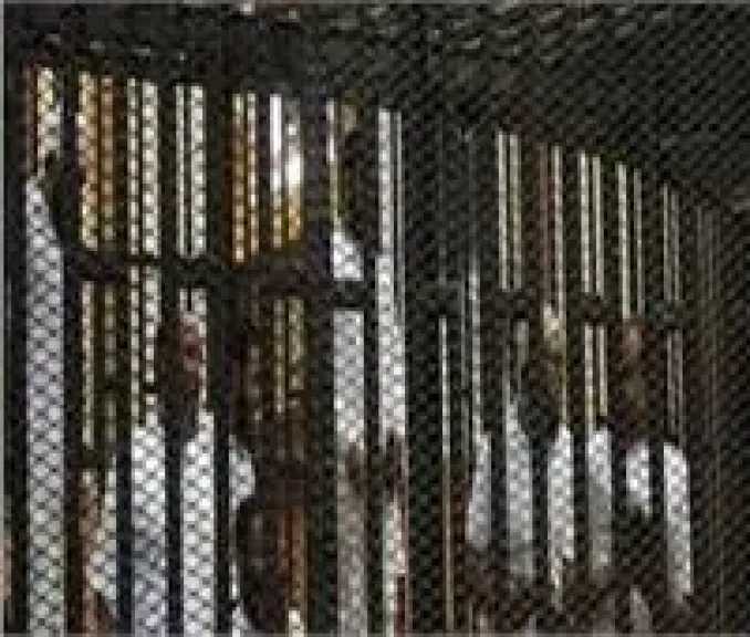 اليوم.. محاكمة 42 متهمًا في قضية «خلية أكتوبر» أمام الدائرة الثانية إرهاب