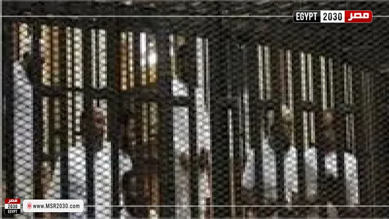 خلية أكتوبر 