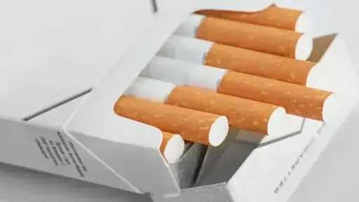 أسعار السجائر اليوم الثلاثاء 21 أبريل 2026.. اعرف آخر التطوراتأسعار السجائر اليوم الإثنين 20 أبريل 2026.. اعرف آخر التطورات