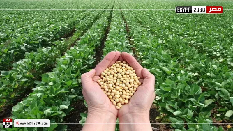 المحاصيل الزراعية