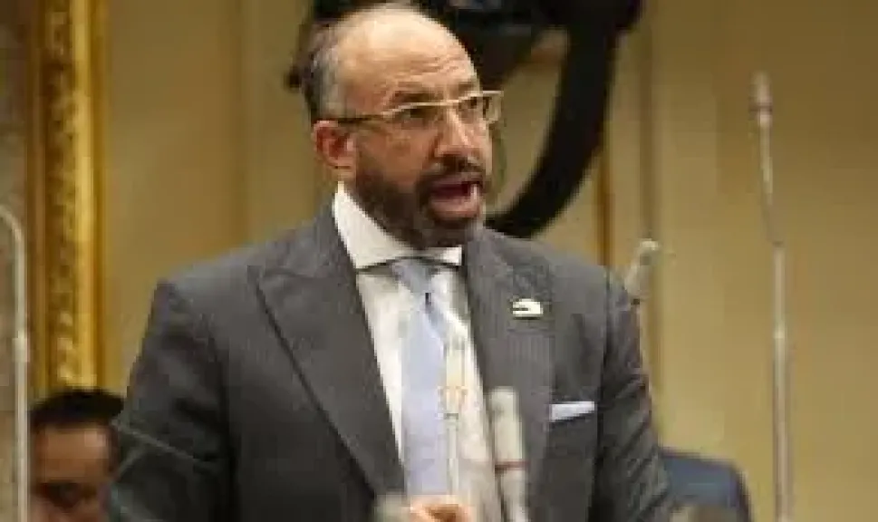 النائب حسام المندوه