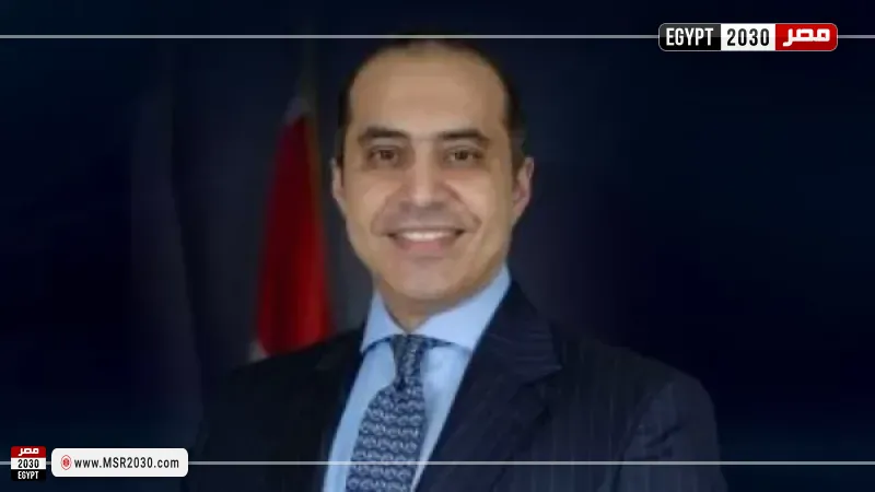 المستشار محمود فوزي