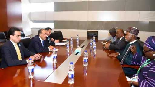 وزير الخارجية يلتقي نظيره النيجيري على هامش اجتماعات قمة الاتحاد الأفريقي