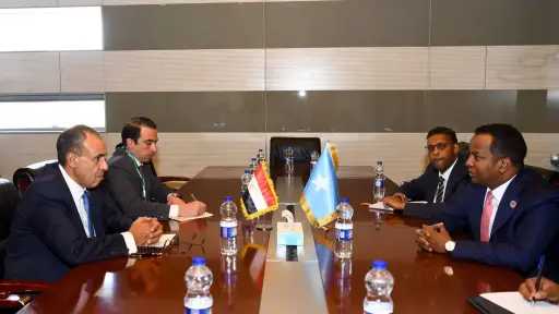 وزير الخارجية يلتقي نظيره الصومالي ويؤكد دعم مصر لوحدة وسيادة الصومال
