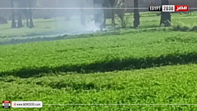 مصر 2030