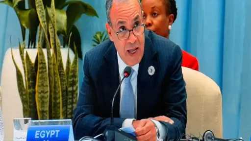 وزير الخارجية يستعرض رؤية مصر لتعزيز الشراكة الاستراتيجية وتحقيق التنمية المستدامة خلال قمة إيطاليا-أفريقيا الثانية