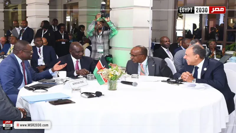 وزير الخارجية يشارك بمائدة مستديرة