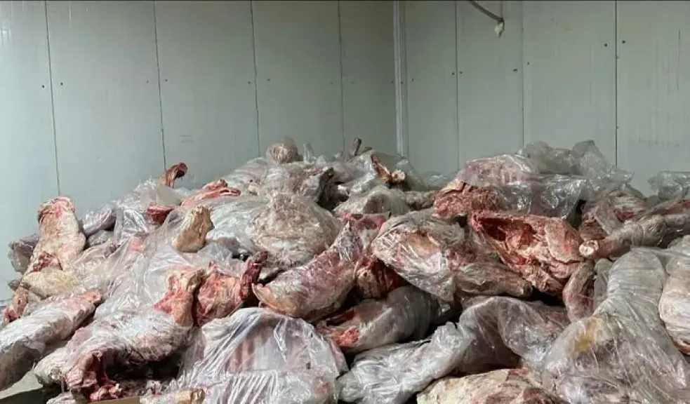 بيطري المنيا: ضبط أكثر من 719 كيلو لحوم غير صالحة ومذبوحة خارج المجازر خلال الأسبوع الماضي