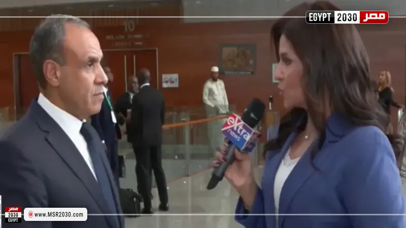 وزير الخارجية: لا سبيل لتحقيق الأمن والاستقرار إلا بالحفاظ على الدولة الوطنية ومؤسساتها