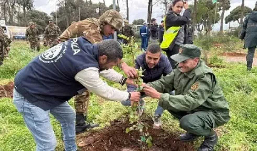 الجزائر.. انطلاق حملة لغرس 5 ملايين شجرة في يوم واحد