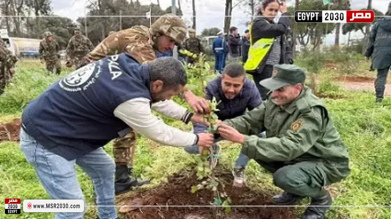 الجزائر.. انطلاق حملة لغرس 5 ملايين شجرة في يوم واحد