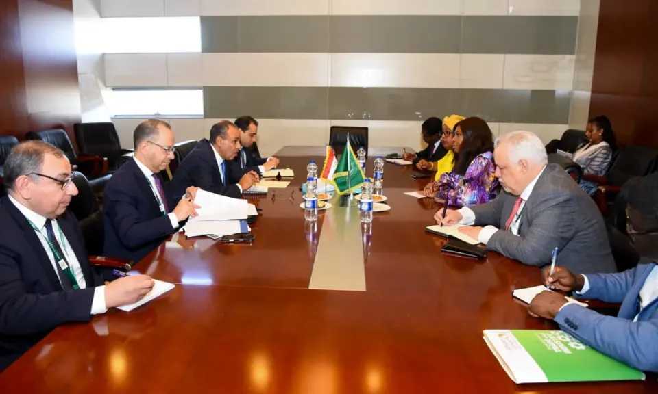 وزير الخارجية يلتقي مفوضة الشئون الاقتصادية والتجارة والسياحة والصناعة والمعادن بالاتحاد الأفريقي