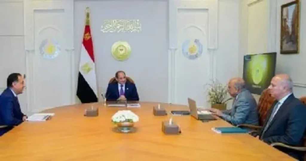 الرئيس السيسي يؤكد ضرورة استيعاب ارتفاع الأحمال والزيادة غير المسبوقة في استهلاك الكهرباء