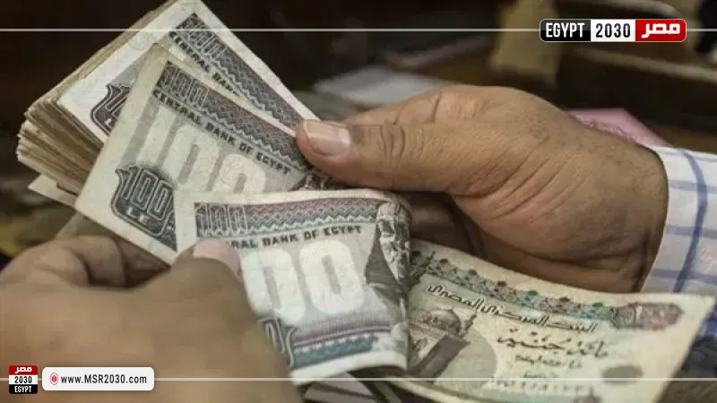 مساندة نقدية