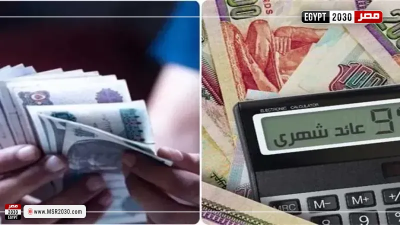 شهادات الادخار