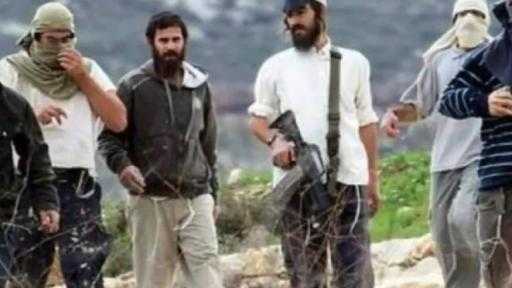 تصاعد اعتداءات المستوطنين في الأغوار الشمالية يجبر 15 عائلة فلسطينية على الرحيل