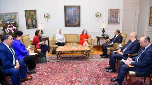 وزير الخارجية يؤكد لرئيسة الاتحاد الدولي دعم مصر الكامل للعمل الإنساني في غزة والمنطقة