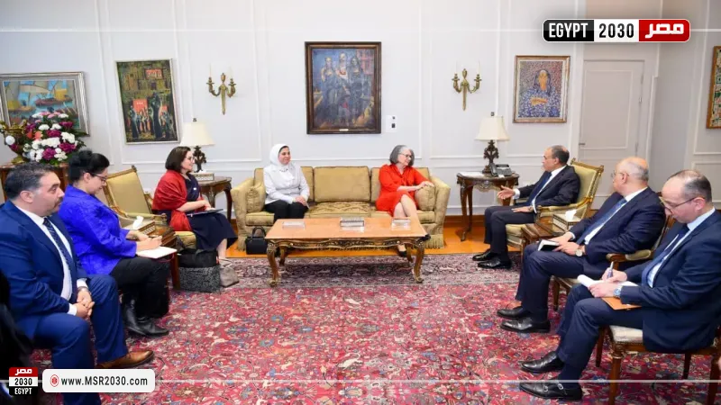 وزير الخارجية يؤكد لرئيسة الاتحاد الدولي دعم مصر الكامل للعمل الإنساني في غزة 