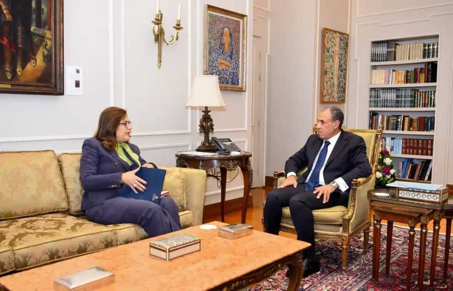 عبدالعاطي يبحث سبل التعاون بين الجامعة الأمريكية في القاهرة ووزارة الخارجية