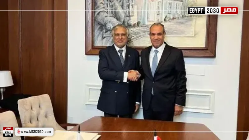 تنسيق مصري - باكستاني قوي لدعم جهود تثبيت وقف إطلاق النار في غزة