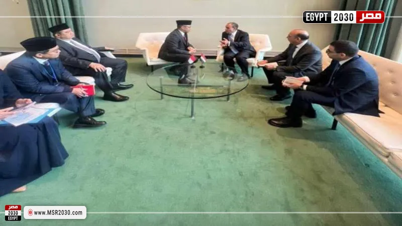 وزير الخارجية ونظيره الإندونيسي