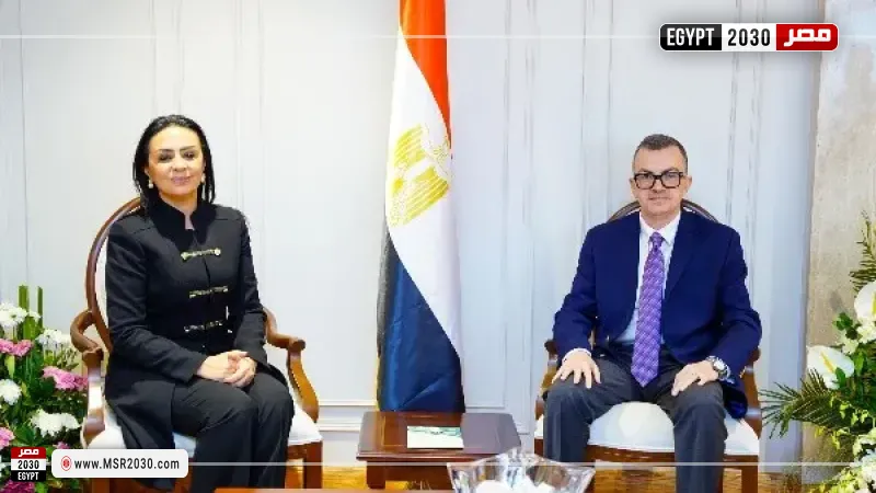 التخطيط والتضامن