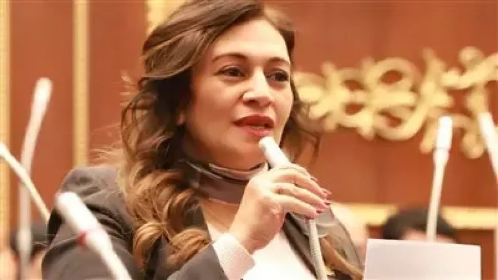 النائبة نيفين فارس فايق