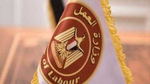 وزارة العمل تُحذّر من التفاعل مع صفحات أو رسائل وهمية تدّعي تسجيل بيانات أو منح خاصة بالعمالة غير المنتظمة