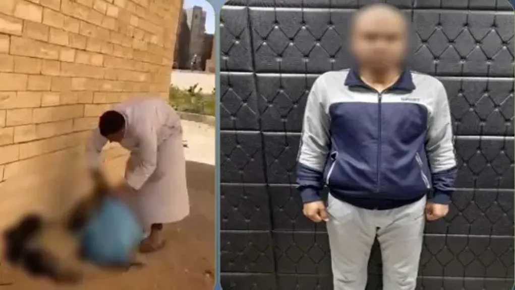 ضبط المتهم بوضع الكلاب في أكياس بلاستيكية بحدائق أكتوبر