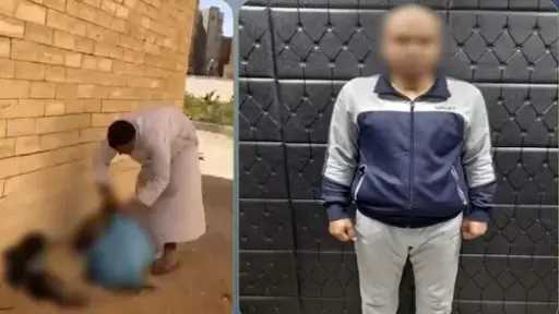 ضبط المتهم بوضع الكلاب في أكياس بلاستيكية بحدائق أكتوبر