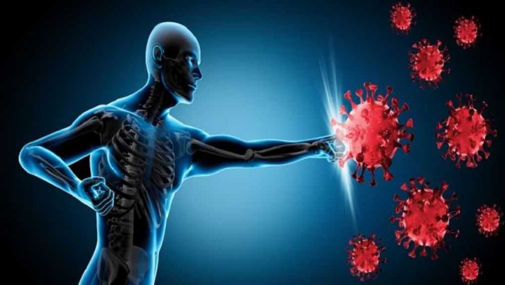 استشاري مناعة يوضح دور الصيام في تعزيز كفاءة الجهاز المناعي