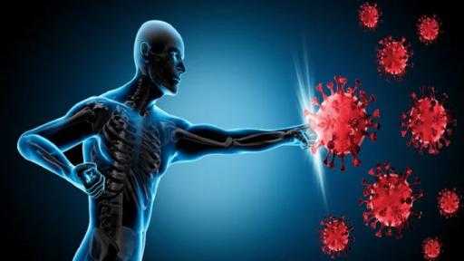 استشاري مناعة يوضح دور الصيام في تعزيز كفاءة الجهاز المناعي