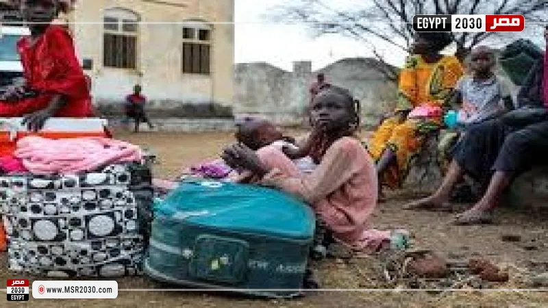 صوة أرشيفية