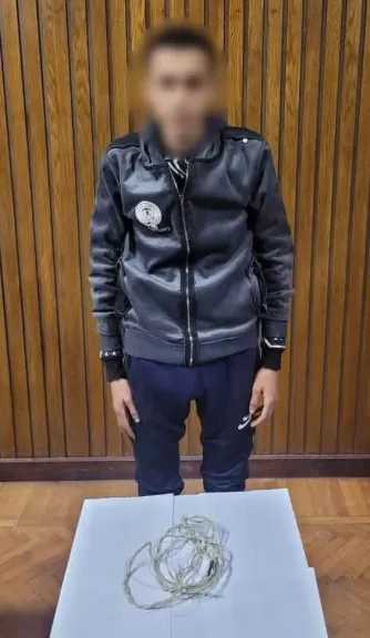 القبض على عامل اعتدى على والدته وحاول صعقها بالكهرباء في الإسكندرية