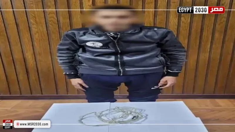 القبض على عامل اعتدى على والدته 