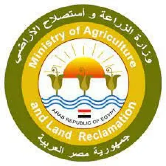 «الزراعة» توقف موظفة بالغربية عن العمل وتحيلها للنيابة بتهمة التعدي على زميلها