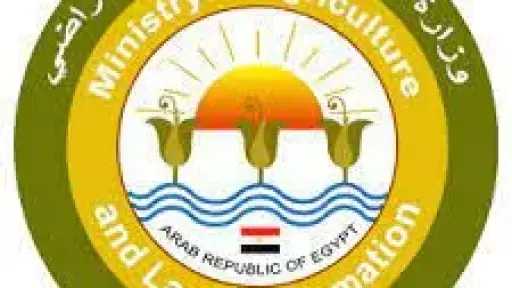 «الزراعة» توقف موظفة بالغربية عن العمل وتحيلها للنيابة بتهمة التعدي على زميلها