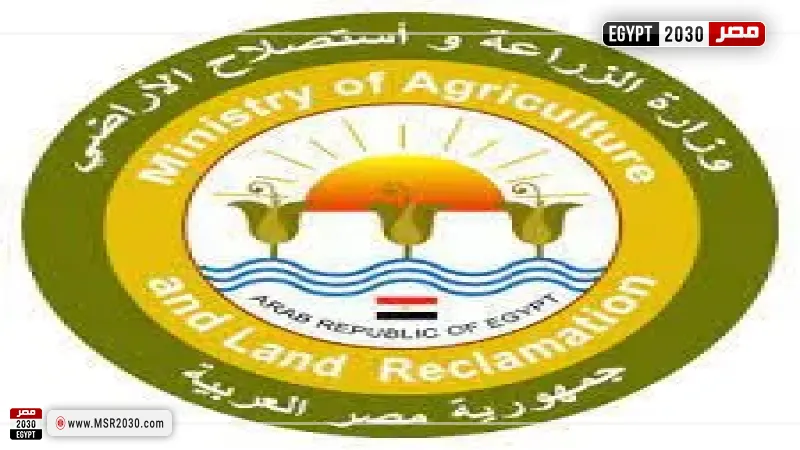 «الزراعة» توقف موظفة بالغربية عن العمل وتحيلها للنيابة بتهمة التعدي على زميلها