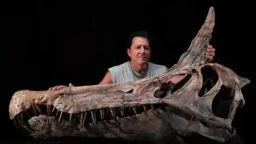اكتشاف حفريات لمفترس ضخم يشبه أسطورة التنين يعود... اكتشاف حفريات لمفترس ضخم يشبه أسطورة التنين يعود للعصر الطباشيري
