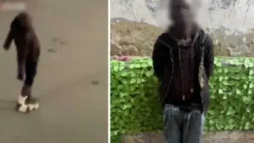 القبض على أفريقي لرقصه بطريقة غير متزنة بأحد... القبض على أفريقي لرقصه بطريقة غير متزنة بأحد الشوارع بالجيزة