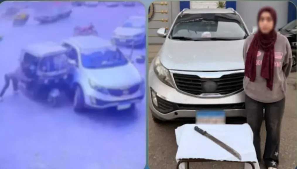 تفاصيل القبض على «سيدة الساطور» بعد اعتدائها على شقيق طليقها بالمنوفية