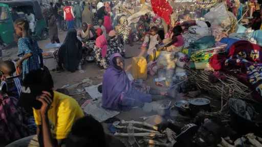 شبكة أطباء السودان: أسر مهجرة في شمال دارفور تواجه كارثة إنسانية جراء اعتداءات الدعم السريع