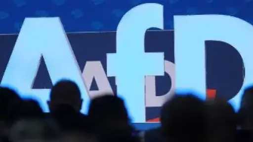 ألمانيا: حكم يمنع تصنيف البديل كحزب يميني متطرف لحين الفصل في دعوى الحزب
