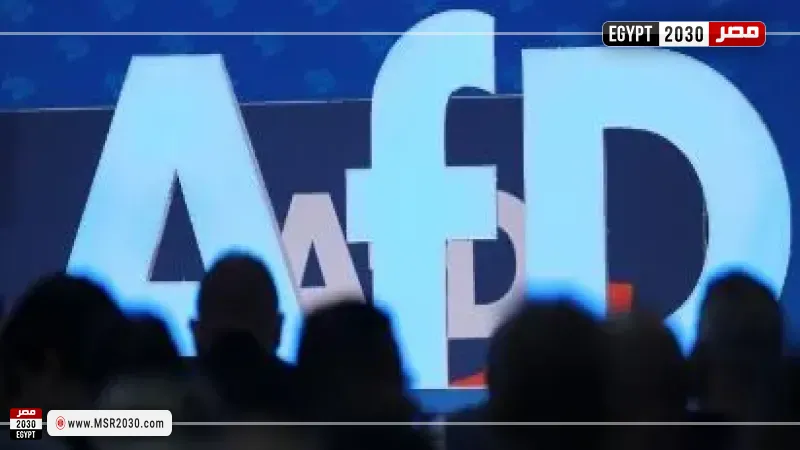 ألمانيا: حكم يمنع تصنيف البديل كحزب يميني متطرف لحين الفصل في دعوى الحزب