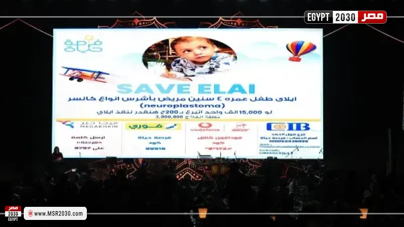 التضامن الاجتماعي