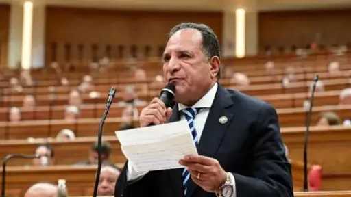 لجنة الشئون العربية بمجلس النواب ترفض المساس بسيادة الدول العربية