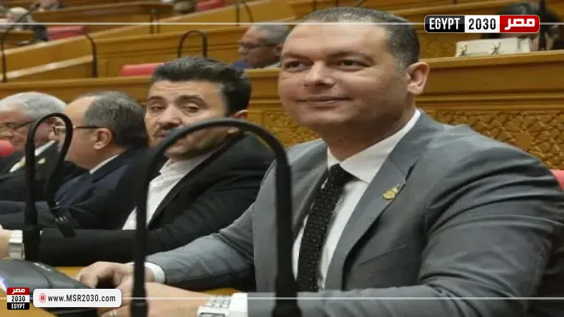 النائب محمد ربيع