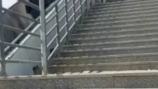 جهاز 6 أكتوبر: تشغيل السلالم الكهربائية بكباري مشاة طريق الواحات