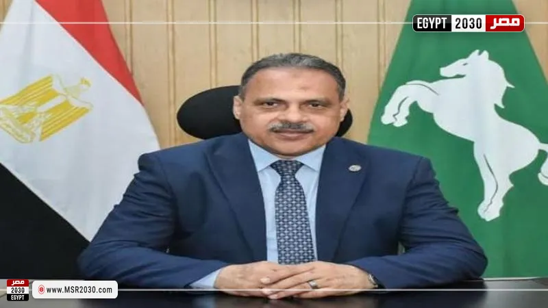 محافظ  الشرقية